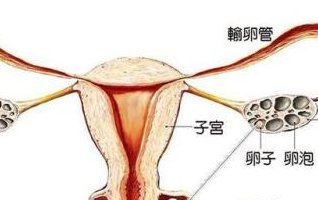 江苏试管婴儿费用及详细成本分解