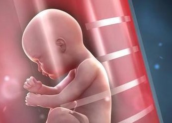 2026年未婚单身去潍坊市妇幼做试管费用解析，附详细费用明细