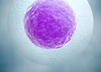 广州试管费用清单，广州试管婴儿费用大概要多少钱？