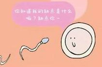 广州试管婴儿成功率高吗？去广州试管费用多少？