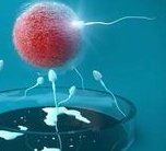 确诊为免疫性不孕能在朝阳市做试管婴儿吗？做三代试管需要多少钱？