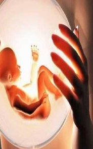 盘点沈阳试管三代试管婴儿医院 附试管医院选择指南