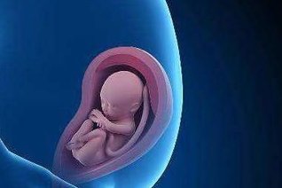 宫腔粘连能不能做柬埔寨试管婴儿，弱精症能不能做柬埔寨试管婴儿